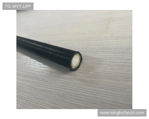 推动行业标准制定的pa视讯中国在行业中的引领作用 推动行业标准制定的pa视讯中国在行业中的引领作用