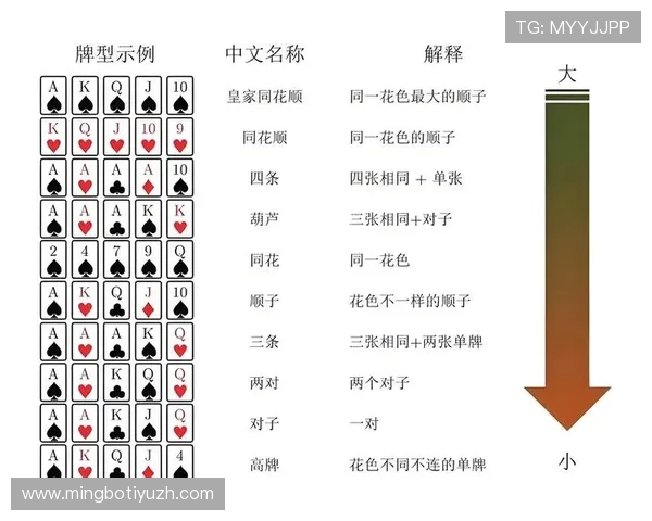 大发扑克娱乐场常见问题解答为新手玩家提供全面帮助与支持 大发扑克娱乐场常见问题解答为新手玩家提供全面帮助与支持